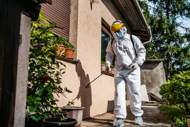 Best Termite Control Services  in Windermere, FL