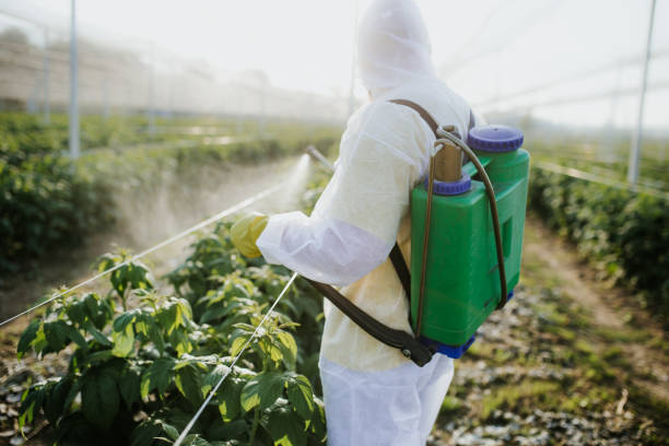 Best Pest Prevention Services  in Windermere, FL